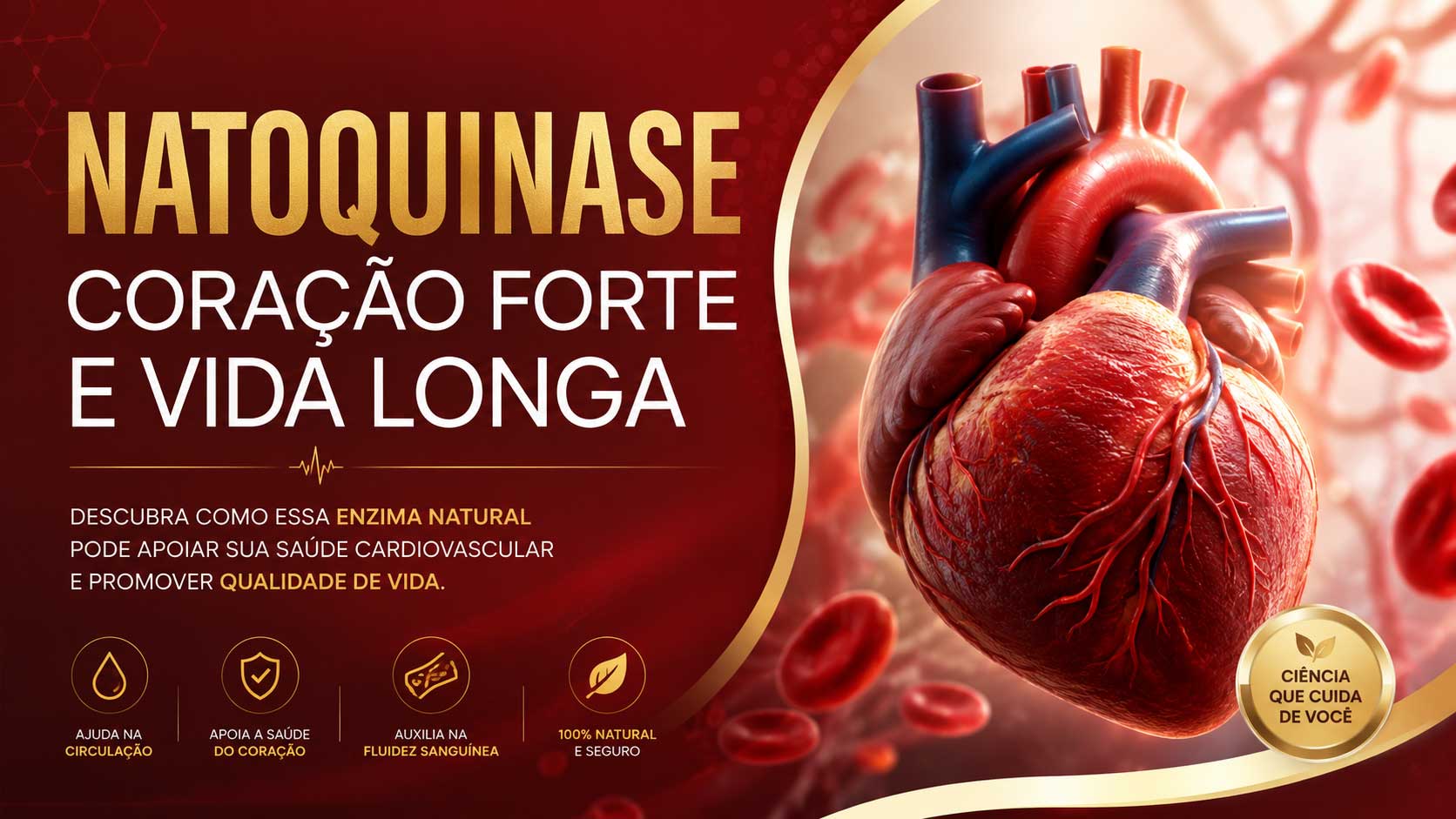Nattokinase-Atividade-Enzimática-e-Relação-com-a-Saúde-Cardiovascular