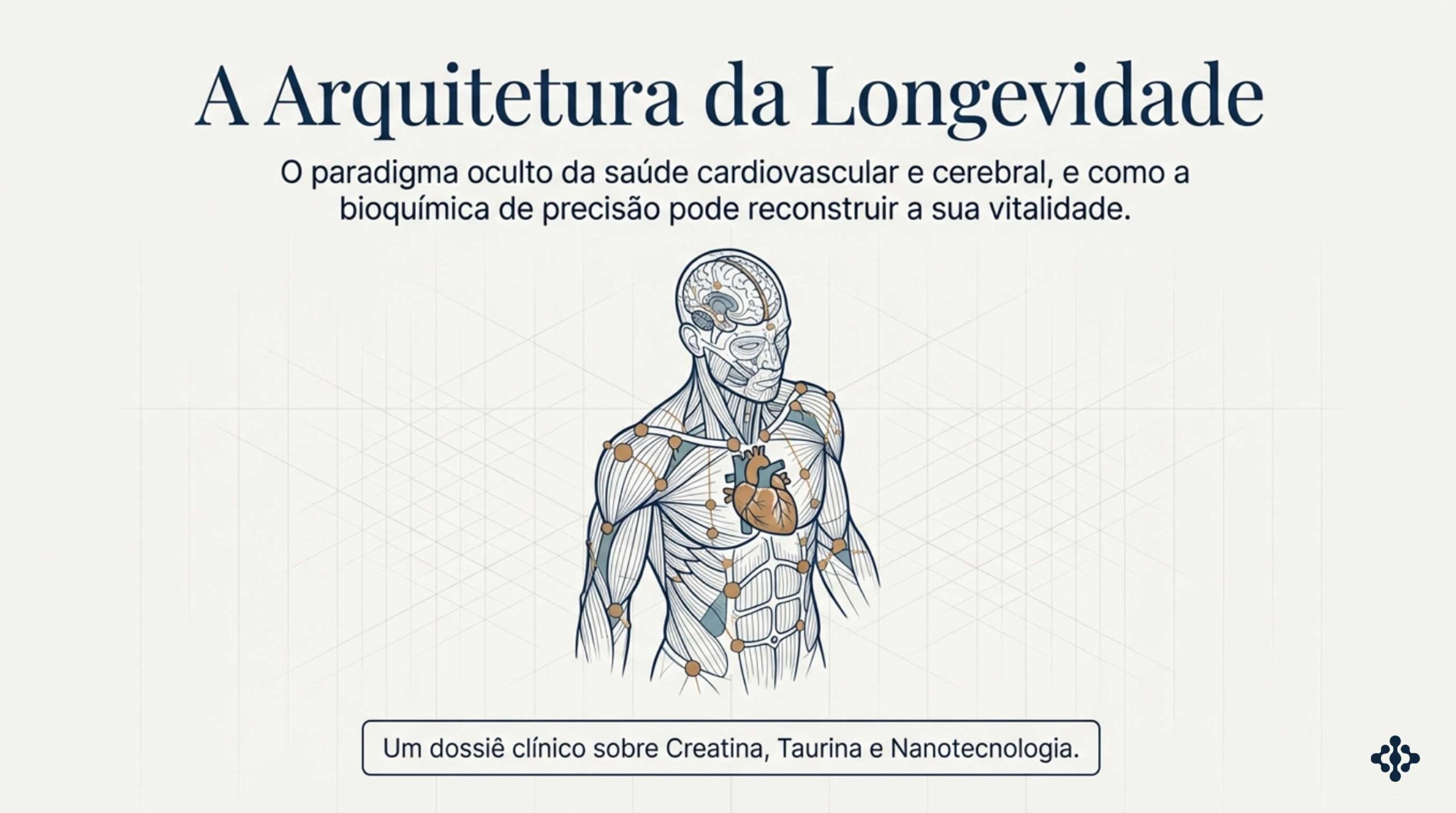 CREATINA-E-TAURINA-LOGEVIDADE