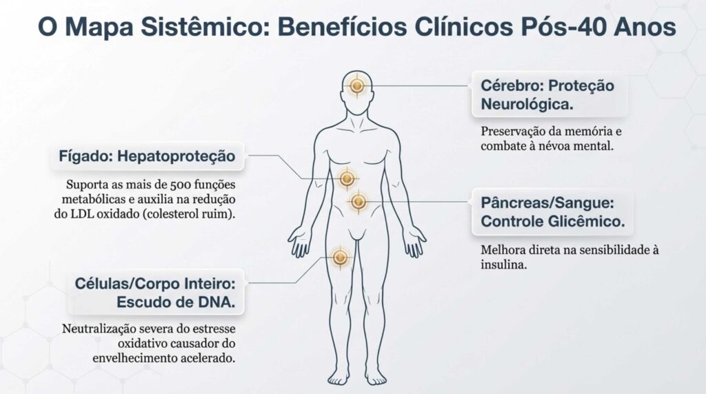 ácido alfa lipoico benefícios