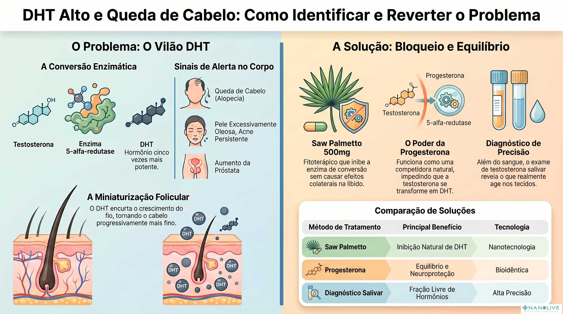 DHT Alto e Testosterona: O Guia Definitivo para Reverter a Queda de ...