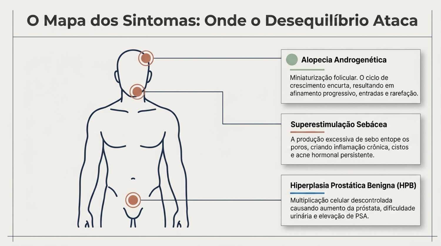 DHT Alto e Testosterona: O Guia Definitivo para Reverter a Queda de ...